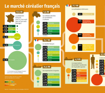 Le marché des céréales françaises